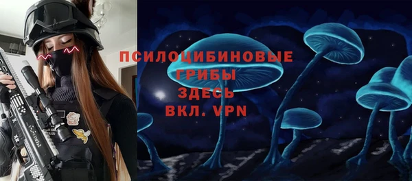 бошки Арсеньев
