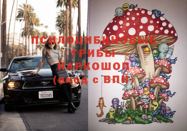 прущая мука Аркадак