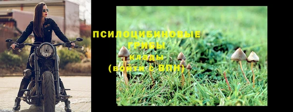 бошки Арсеньев