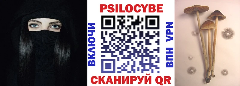 как найти закладки  нарко площадка состав  Галлюциногенные грибы мицелий  Ростов  MEGA как зайти 
